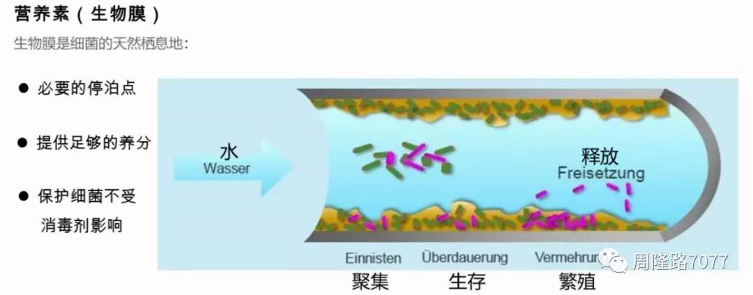 郴州市維達(dá)金屬設(shè)備廠,不銹鋼制管機(jī),不銹鋼工業(yè)管制管機(jī),汽車排氣管制管機(jī),不銹鋼飲用水管制管機(jī),熱交換管制管機(jī),精密焊管制管機(jī),
